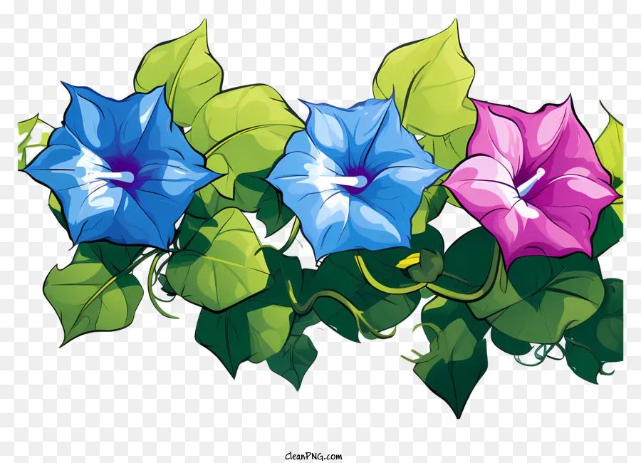 doodle in stile mattutina gloria fiori mattutina fiori fiori rosa e blu colori luminosi sfondo scuro - Fiori di gloria mattutina colorato con sfondo contrasto