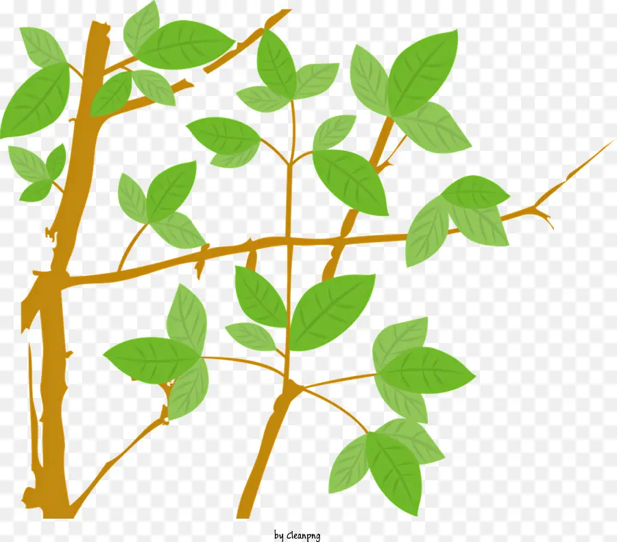 ramo di albero - Ramo verde lussureggiante su sfondo nero fiorente