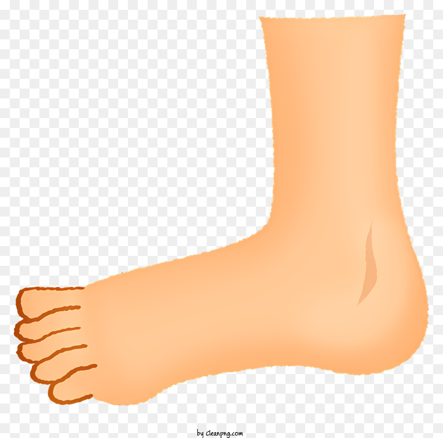 Icon Human Foot Toes Foot Anatomy Spitzes Zehen - Bild des menschlichen Fußes mit spitzen Zehen
