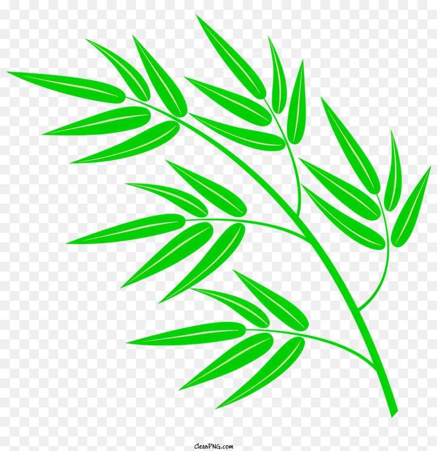 Icon grünes Bambusblatt Bambusblattform Hellgrün rechteckiges Blatt kleiner Stiel auf Bambusblatt - Grünes Bambusblatt mit kleinem Stiel, glänzend, rechteckig