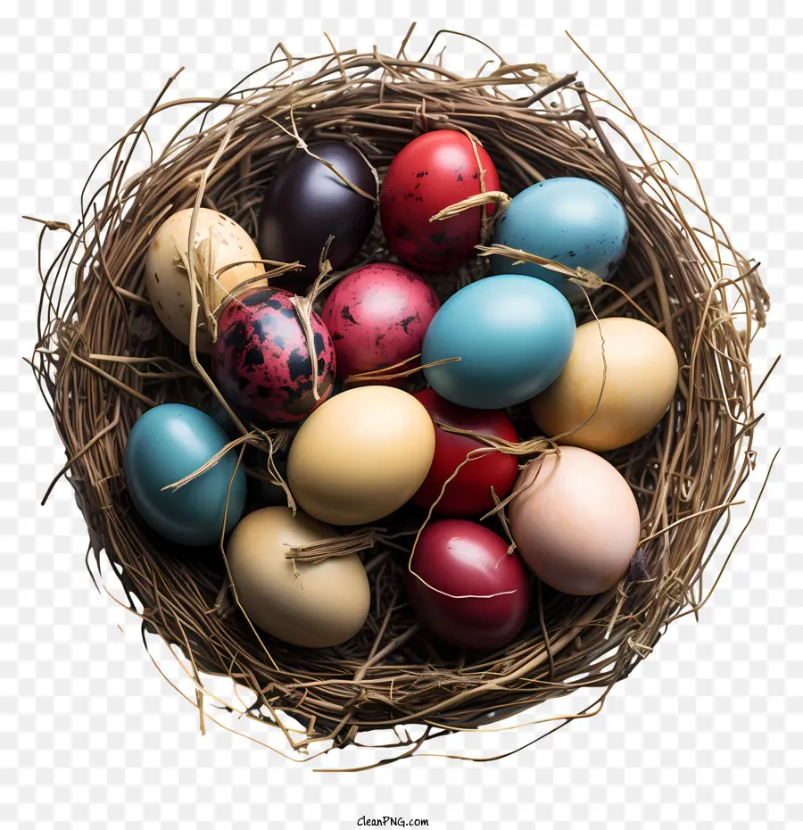 Osterlilie farbenfrohe Eier Vogel -Nest rote Eier blaue Eier - Bunte Eier im Zweignest, schwarzer Hintergrund