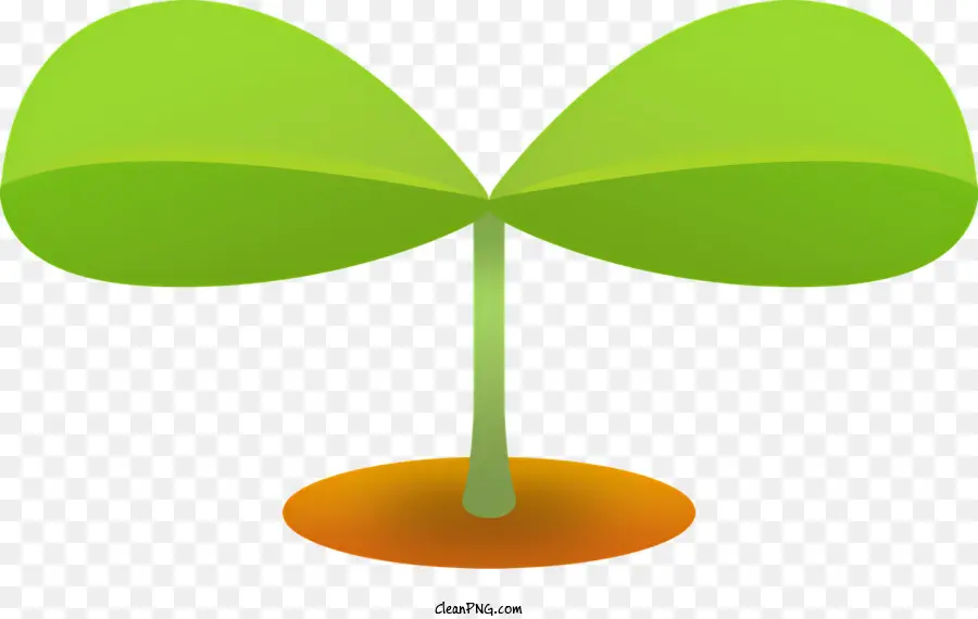 Icona pianta gambo rotondo verde a foglia verde - Immagine realistica della pianta verde con foglie