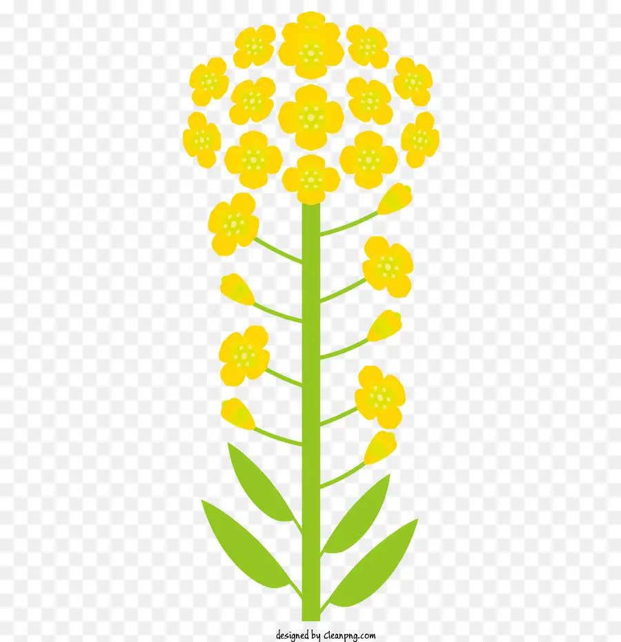 gelbe Blume - Gelbe Blumenstiel mit sternförmiger gelbe Blume