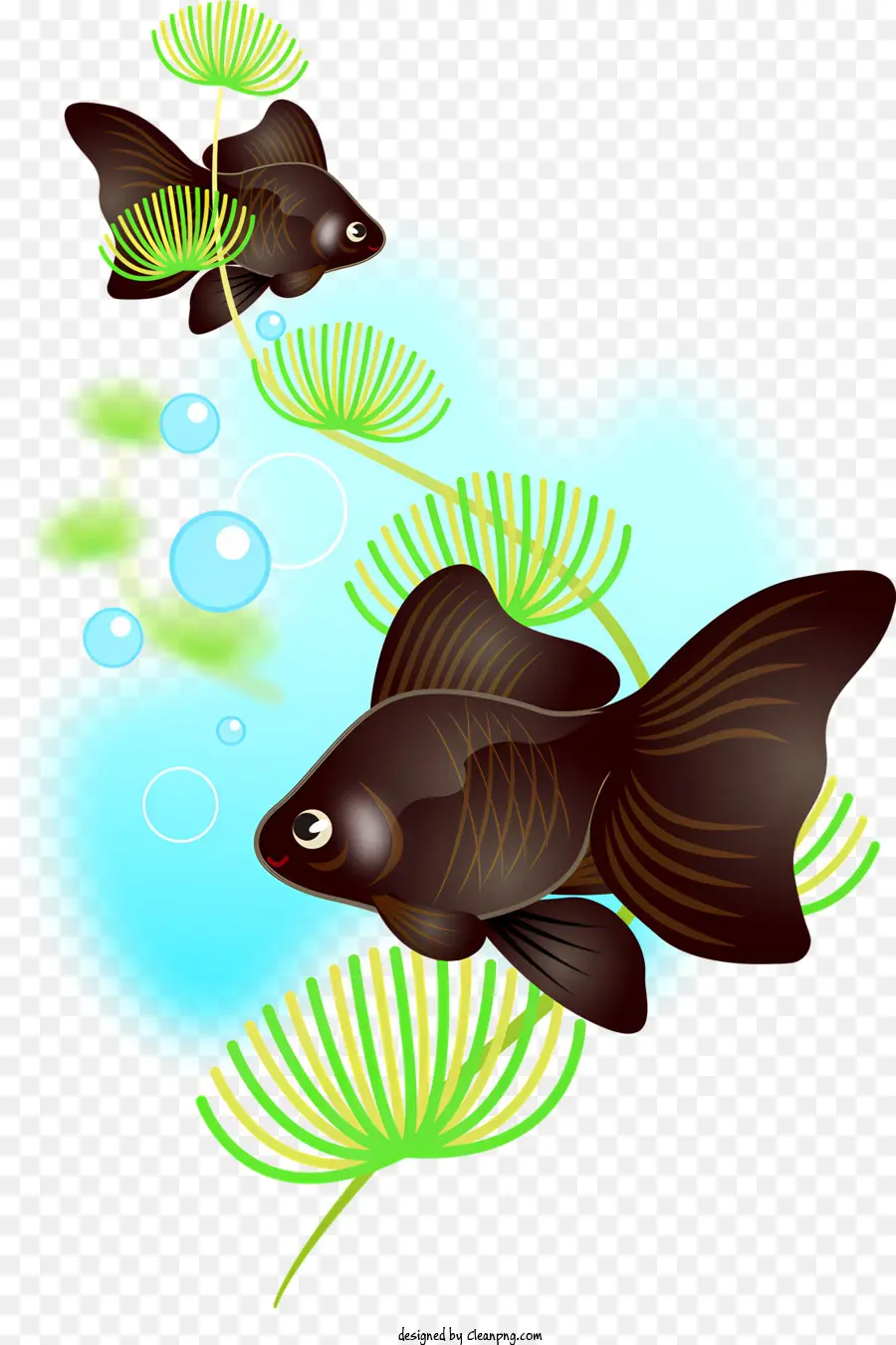 Fischteich Fischlily Pads natürliche Umgebung - Zwei schwarze Fische schwimmen in einem grünen Teich