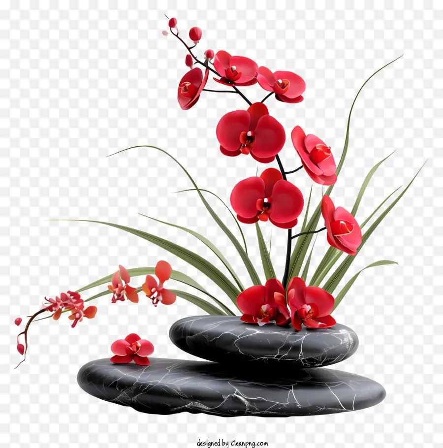 Zen Blume Arrangement Farbstil Komposition Subjekt - Farbe: farbenfrohes und realistisches Bild von Pflanzen.
Objekte: Vase mit roten Blüten in symmetrischer Anordnung.
Hintergrund: dunkler, schwarzer Hintergrund ohne Reflexionen