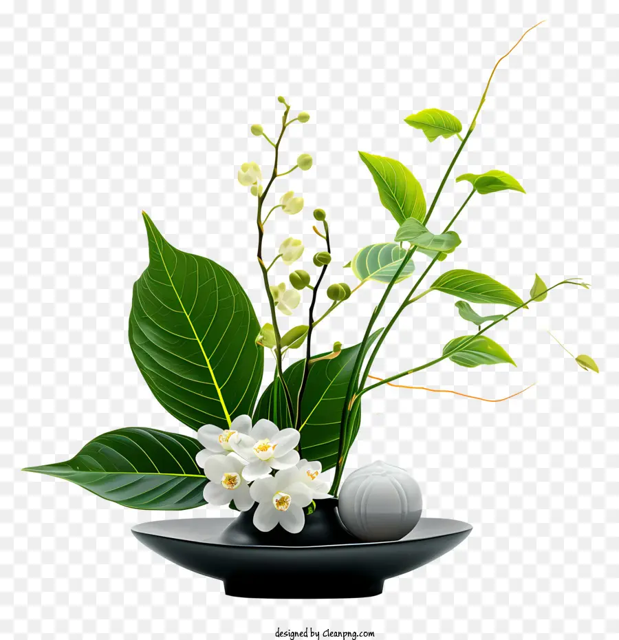 zen flower arrangement black vase white lily flowers green plants contrast