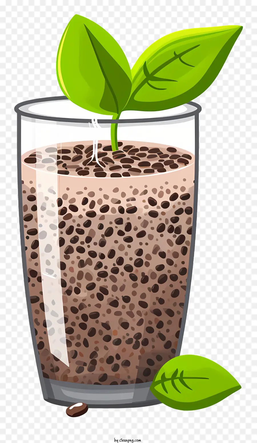 Bio -Chiasamen Pflanze in Glasbrauner Flüssigkeit in Glas kleiner Pflanze, die in Glas wachsen - Glas mit brauner Flüssigkeit, Pflanze, ruhige Stimmung