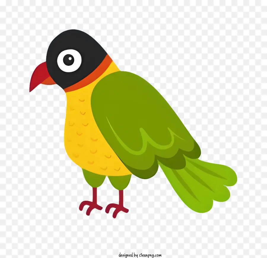 Vogel Papagei - Buntes Cartoon -Vogel mit großem Schnabel und grünen Federn
