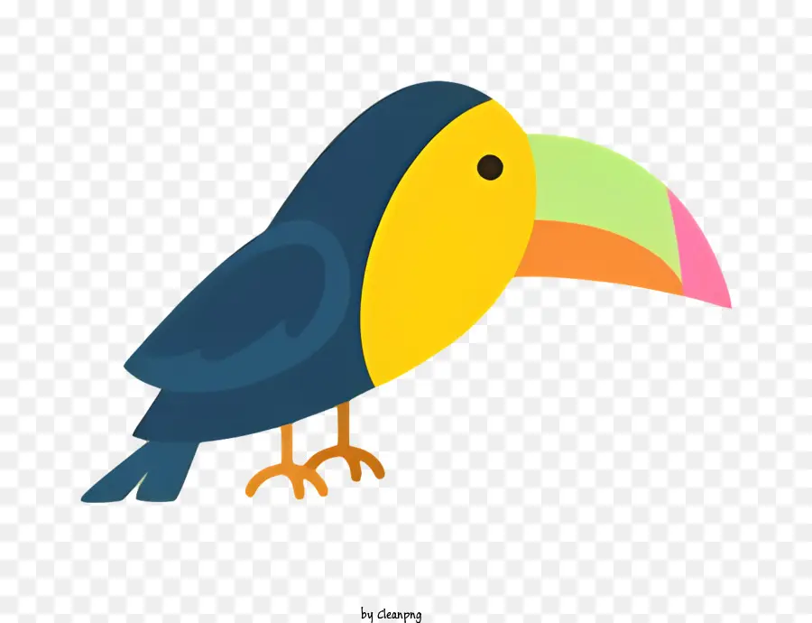Chim Con Vẹt - Chim hoạt hình đầy màu sắc trên nền tối đậu