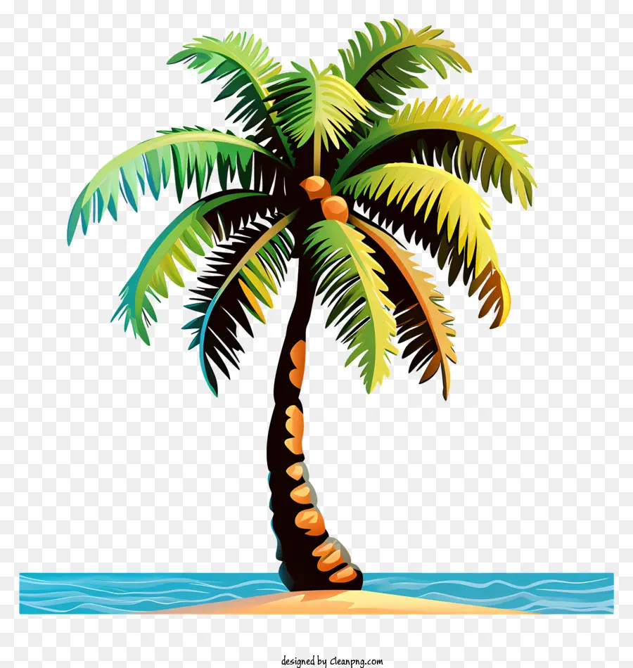 albero di cocco - Palma di cocco sull'isola tropicale con mare turchese