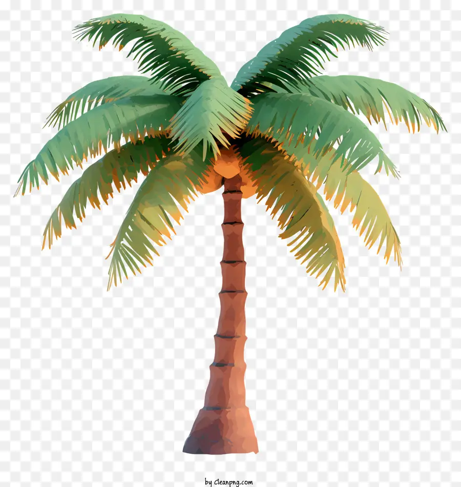 flat coconut tree green palm tree canopy single leaf orange leaves