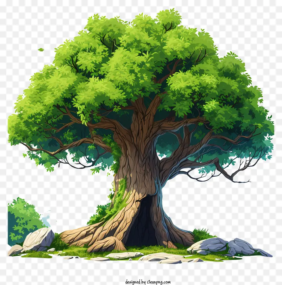 grüner Baum - Der alte Moosbedeckte Baum steht allein