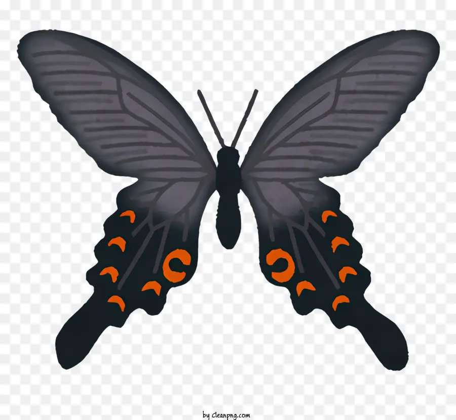 arancione - Farfalla nera e arancione con corpo a clessidra