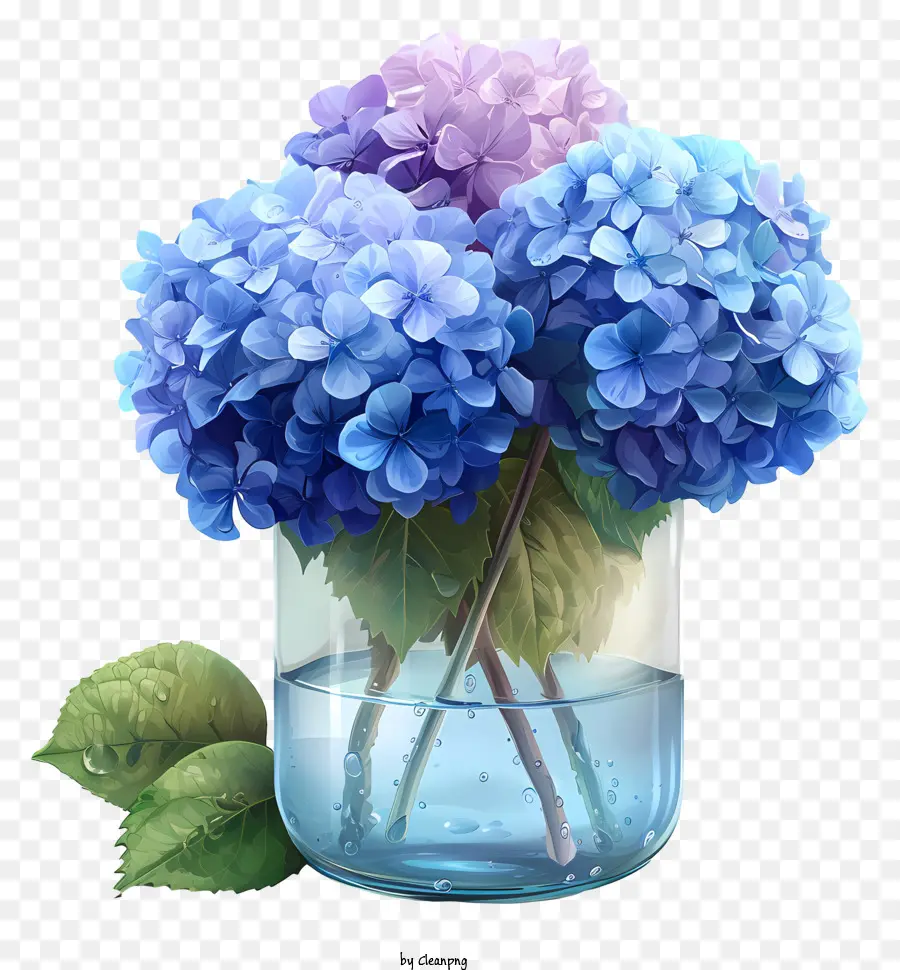 Skizzierhordera im Glas klaren Glasvase Blau Hortensien schwimmende Blüten Wasseroberfläche - Glasvase mit 3 blauen Hortensien schweben
