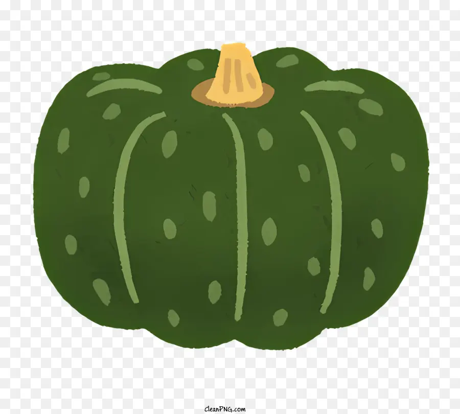 vegetable green pumpkin round fruit smooth skin hard skin
