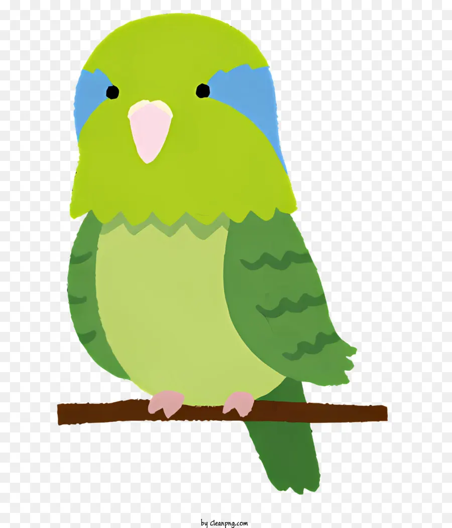 Vogelgrüner Vogelblau -Schnabel sitzend Vogelzweige - Grüner Vogel mit blauem Schnabel am Zweig