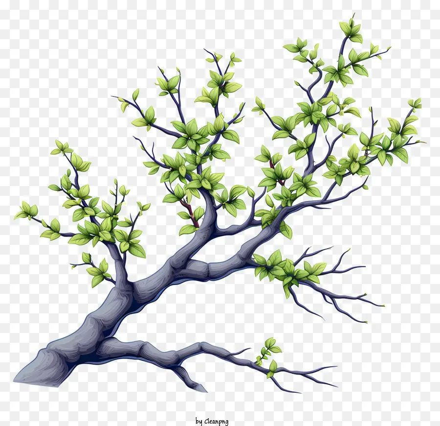 Cây cây phong cách vẽ lại cây xanh để lại màu xanh lá cây khỏe mạnh - Cây xanh khỏe mạnh với lá trên nền đen