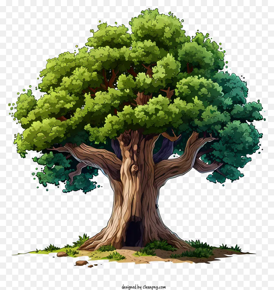 Hand gezogen Big Tree Old Tree großer Baum hohlen Kofferraum üppig grünes Laub - Großer, alter Baum mit hohlen Kofferraum und üppigem Baldachin