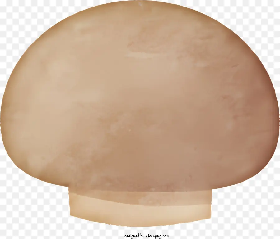 Pilzbrauner Pilzkappe und Stielpapierpilzpilzpilze Aussehen - Brauner Papierpilze mit Mütze und Stiel