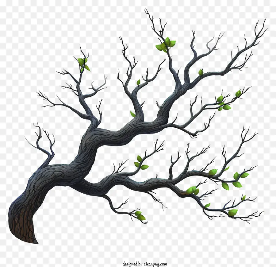 ramo di albero - Ramo albero nero con foglie verdi in cima