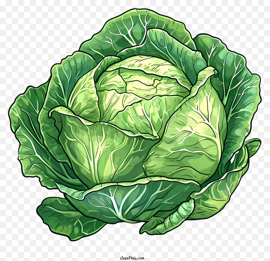 Cải bắp cải bắp cải màu xanh lá cây lá xanh lá cây - Chi tiết, hình ảnh thực tế của một bắp cải. 
Không hấp dẫn trực quan cho việc sử dụng trang web
