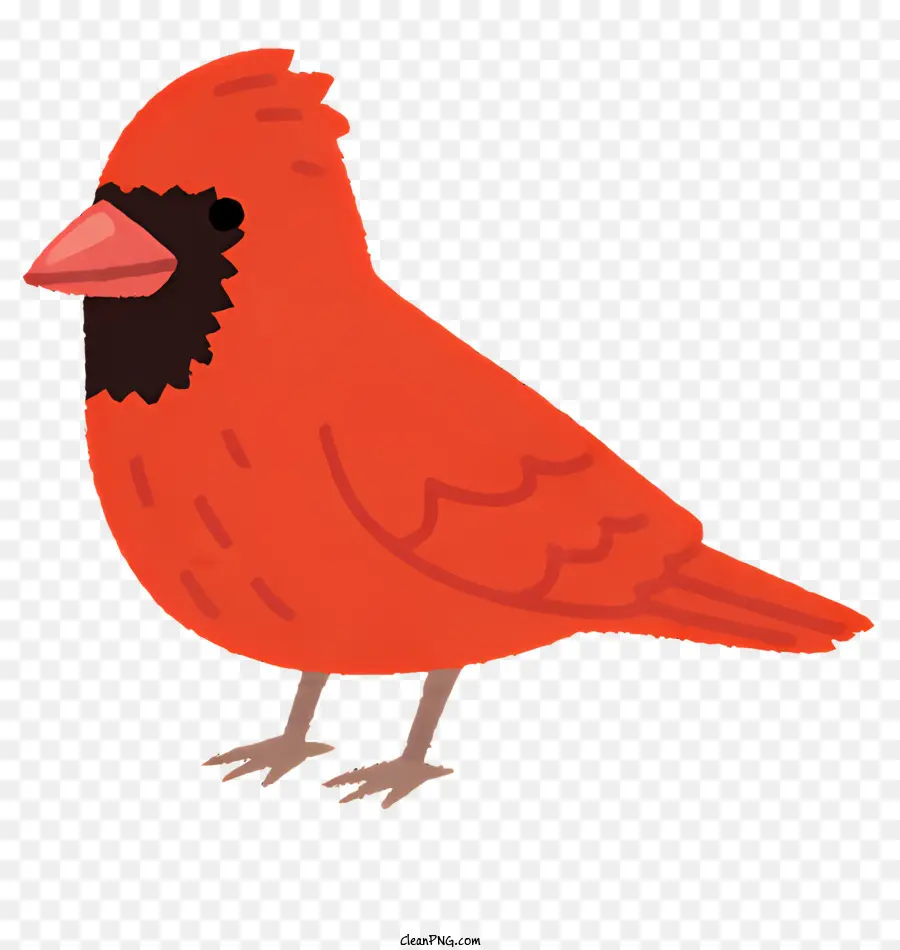 Bird Small Red Bird Bird Black Beak Black Tail ali aperte - Piccolo uccello rosso con becco e coda neri