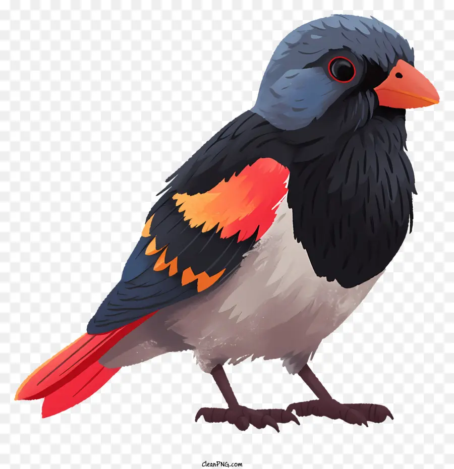 Handgezogener Stil Vogel Orange und schwarze Federn lange Schwanz kleine Flügel - Vogel mit orange und schwarzen Federn anmutig stehen