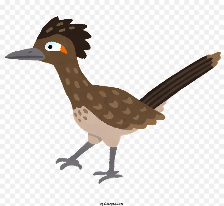 cartoon Vogel - Cartoon -Vogel mit Mohawk und merkwürdiger Ausdruck