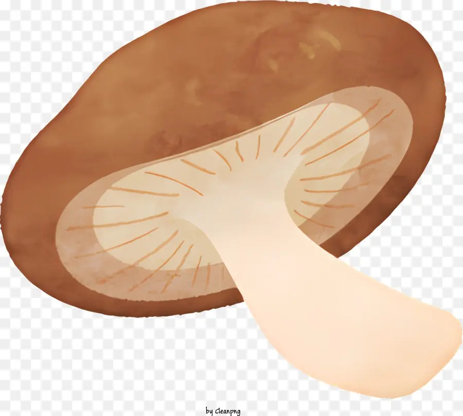 Pilzpilzpilze brauner Pilz weißer Kappe Pilzgelber Sporenpilzpilze - Lebendiger brauner Pilz mit weißer Kappe und Stiel