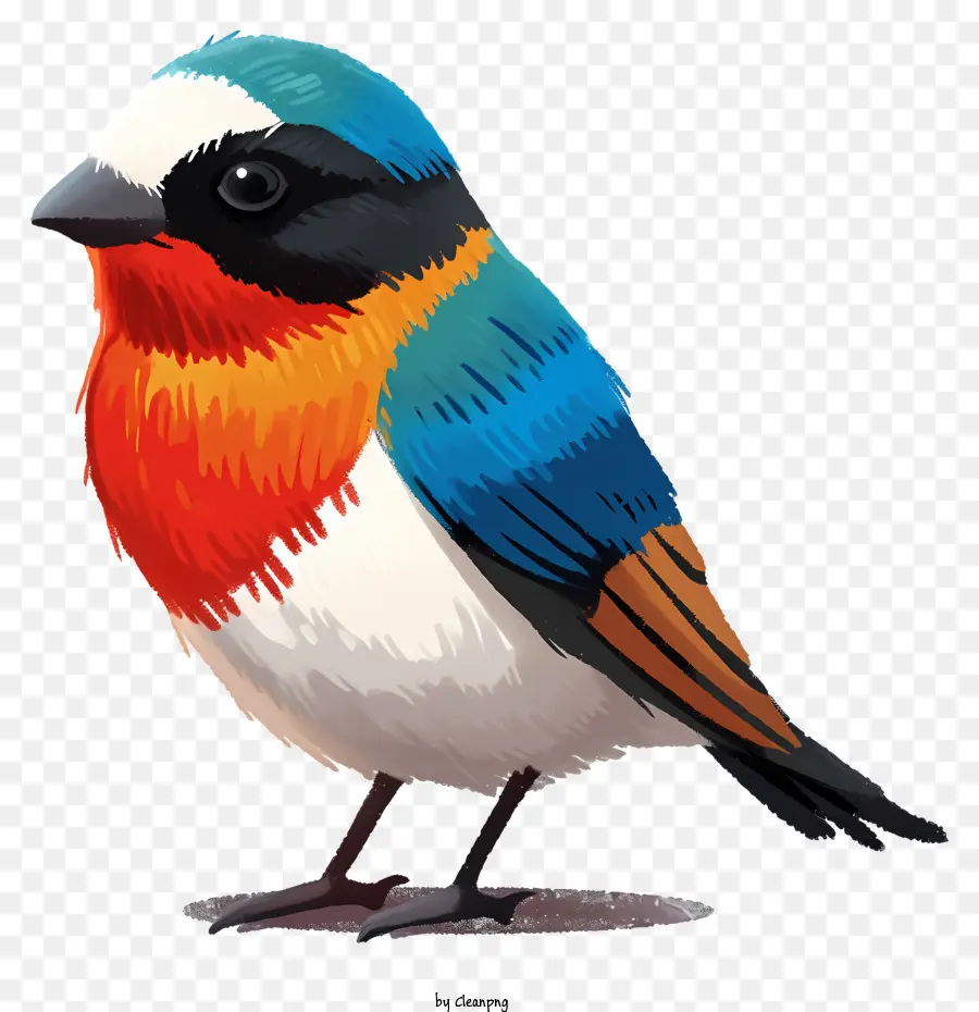 Flat Style Vogel kleiner Vogel farbenfrohe Federn rot blau - Buntes Vogel in Kontemplation auf weißem Hintergrund