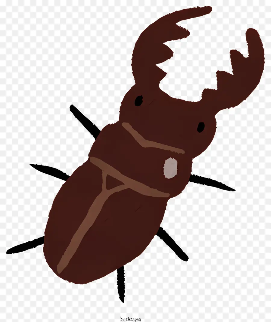 Insektenkäfer brauner Käfer großer Körperantennen - Brauner Käfer mit langen Antennen, die auf der schwarzen Oberfläche kriechen