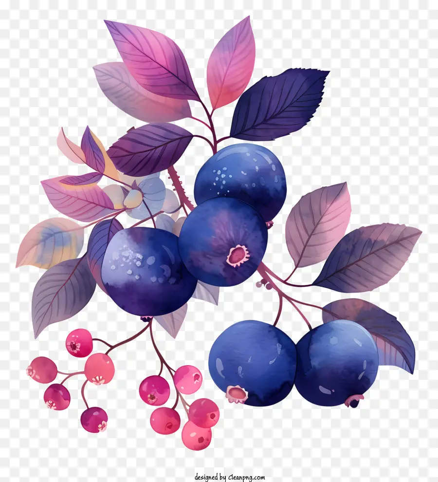 Blaubeeren Blaubeeren Rote Beeren Zweig verwelkt - Lebendiges Bild von Beeren mit realistischen Details