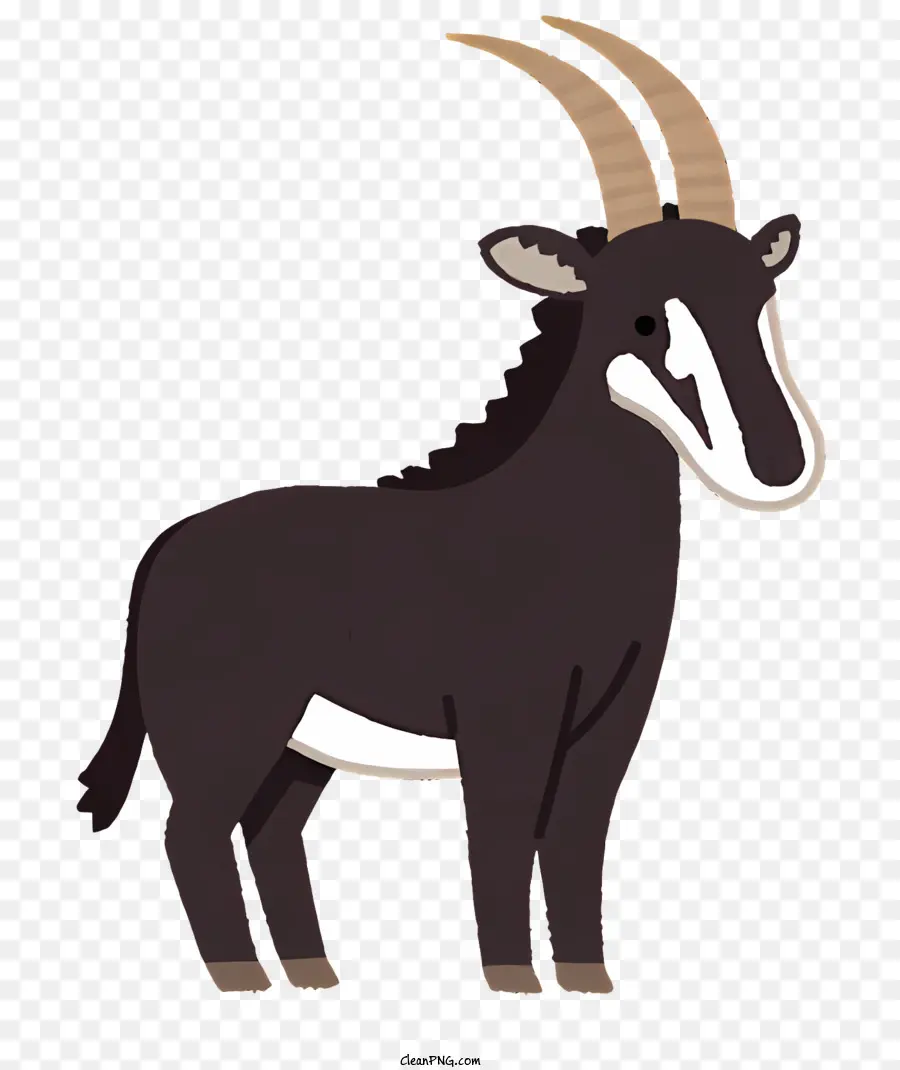 animal black goat curved horns white band hind legs
