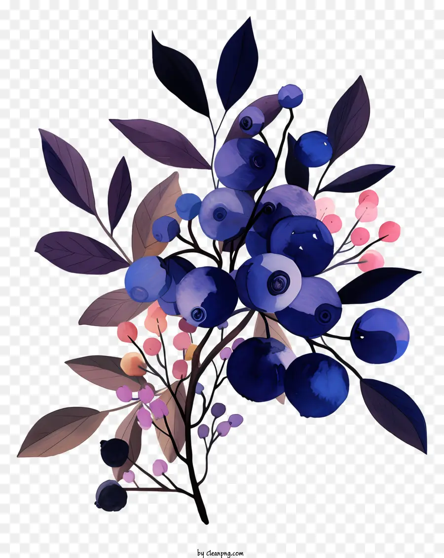 Blaubeeren Blaubeeren kleine Blätter Astbaum - Detailliertes Bild von Blueberry Bouquet mit Blättern