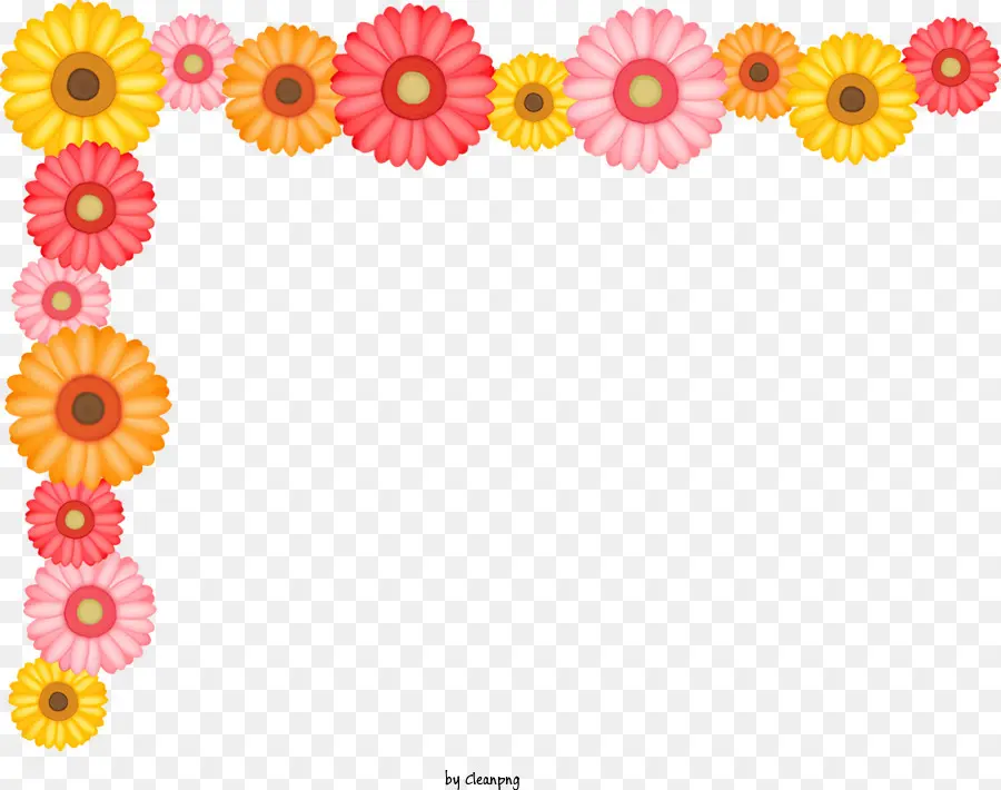 fiore angolo - Travano di fiori colorato su sfondo bianco. 
1000x500px
