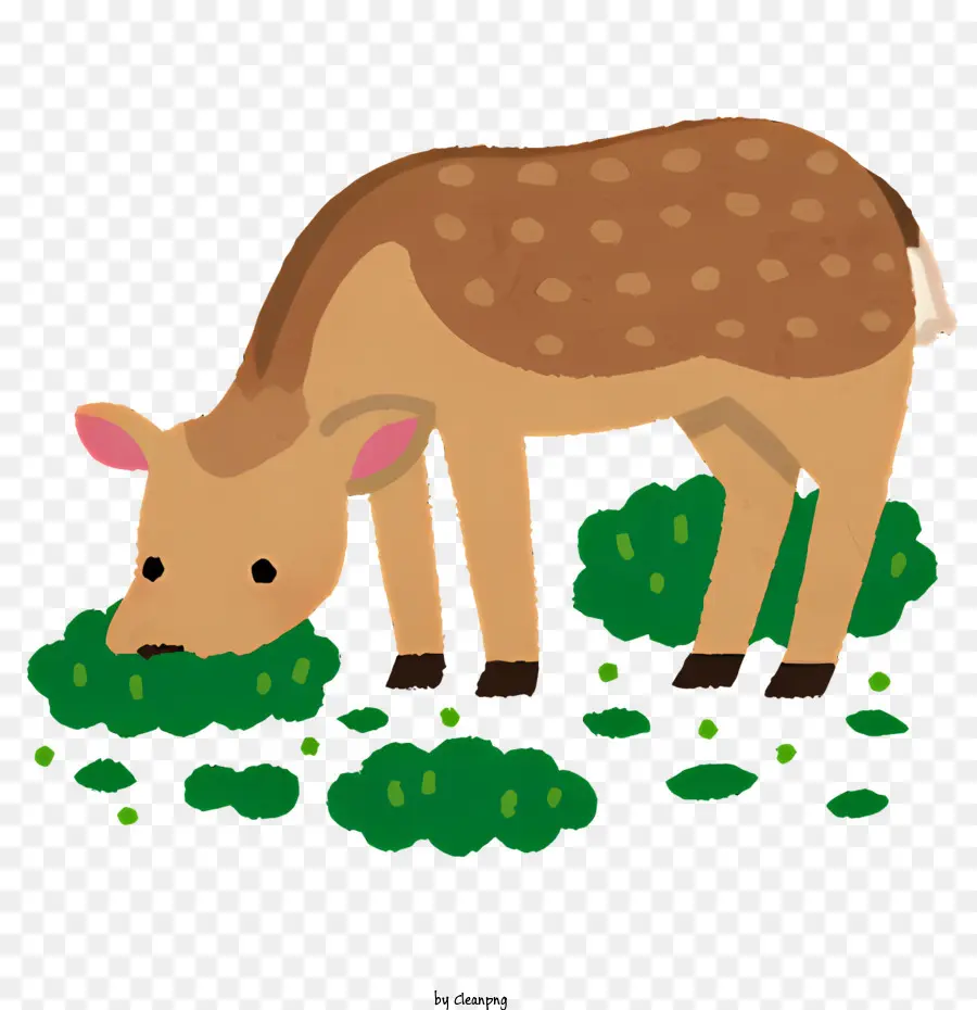 prato di cervo animale erba - Immagine dettagliata del pascolo di cervi in ​​prato