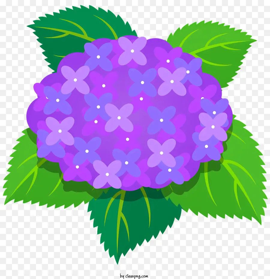 Fiori Flower Purple Petals Foglie verdi Immagine stilizzata - Immagine piatta e stilizzata di fiori viola con foglie verdi