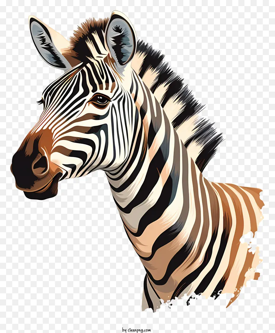 Zebra Zebra Wildpferd Schwarz -Weiß -Streifen Zebra Gesichtsmarkierungen - Ruhige Zebra mit gestreiftem Gesicht und Körper