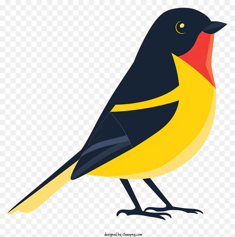 cartoon Vogel - Netter Cartoon -Vogel mit schwarzen Federn und gelben Schnabel