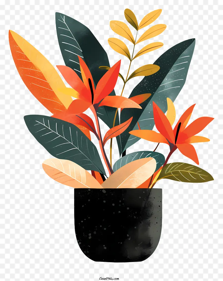 Orange - Lebendige Aquarellblumen -Topf -Illustration auf schwarzem Hintergrund