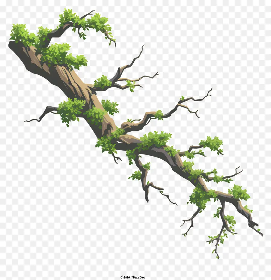Abzweig- und Moosbaumblätterlaubschuppen - Laubbaum mit grünen Blättern, schwankenden Zweigen
