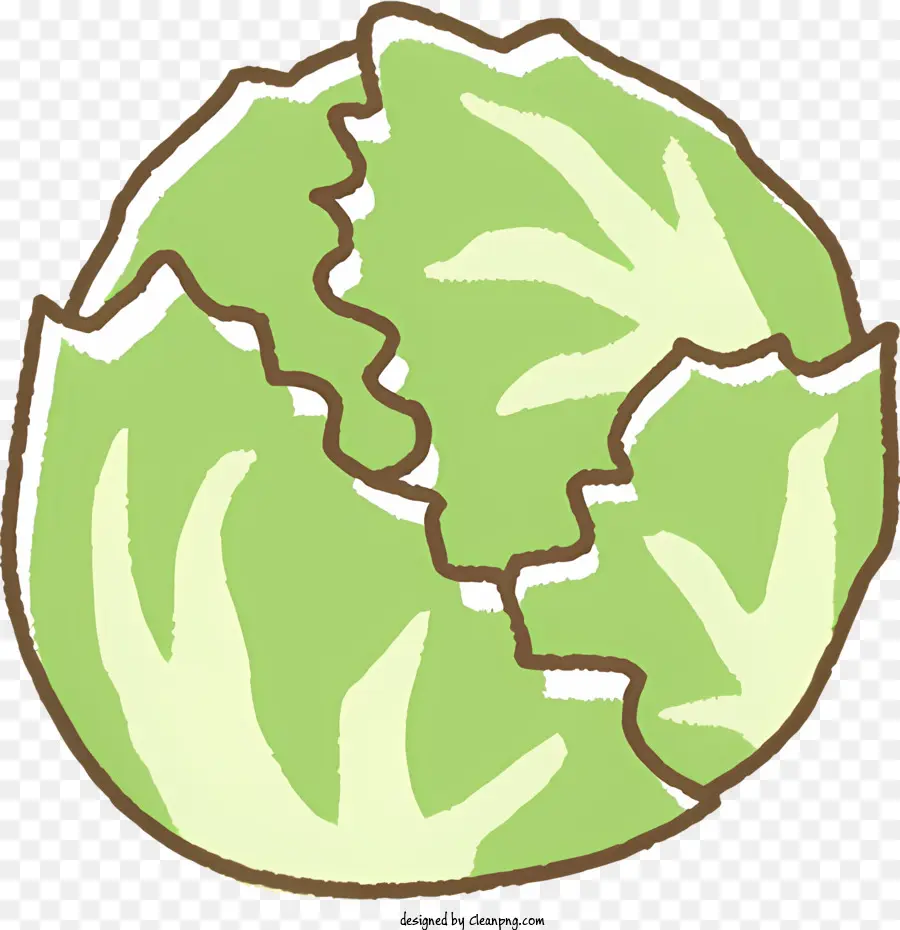 Lebensmittel grünes Blattsalat halb geschnittener Salatblattgrün-Gemüse-Salatpflanze halb geschnitten - Grüner Blattsalat in zwei Hälften geschnitten, noch befestigt