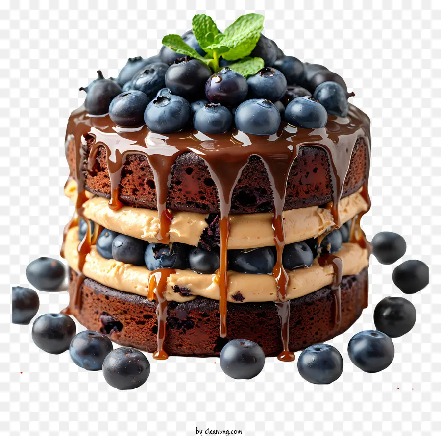 torta al cioccolato biota per blueberry torta cioccolato decorazione di mirtilli - Torta al cioccolato a tre strati con mirtilli e cioccolato condotto sullo sfondo nero