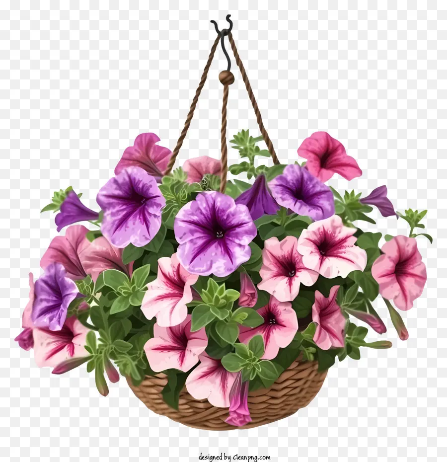 Elegante petunia cesto appeso a fiore vettoriale disegni cesti di cesti di fiori rosa e viola - Fiori di pestana rosa e viola nel cestino sospeso