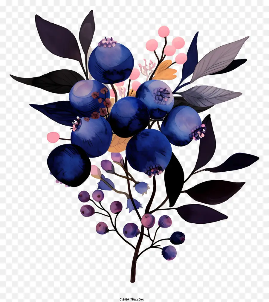 Blaubeeren Blaubeeren rosa und weiße Blumen dunkle Farben lebendige Farben - Lebendiger Strauß von Blaubeeren und Blumen auf Schwarz