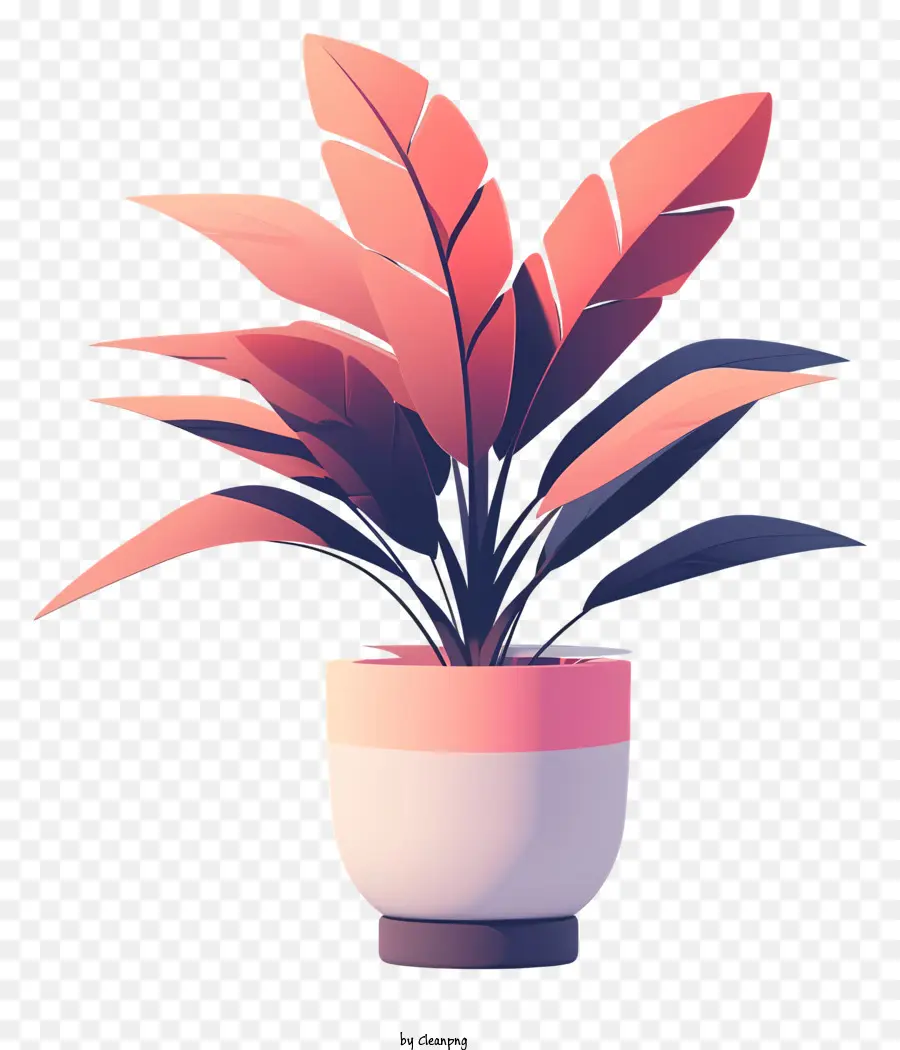 Moderne Blumentopf -Topfpflanze dunkelrote Blätter rosa Blätter weiß und rosa Keramik -Topf - Realistische tropische Topfpflanze im rosa Topf