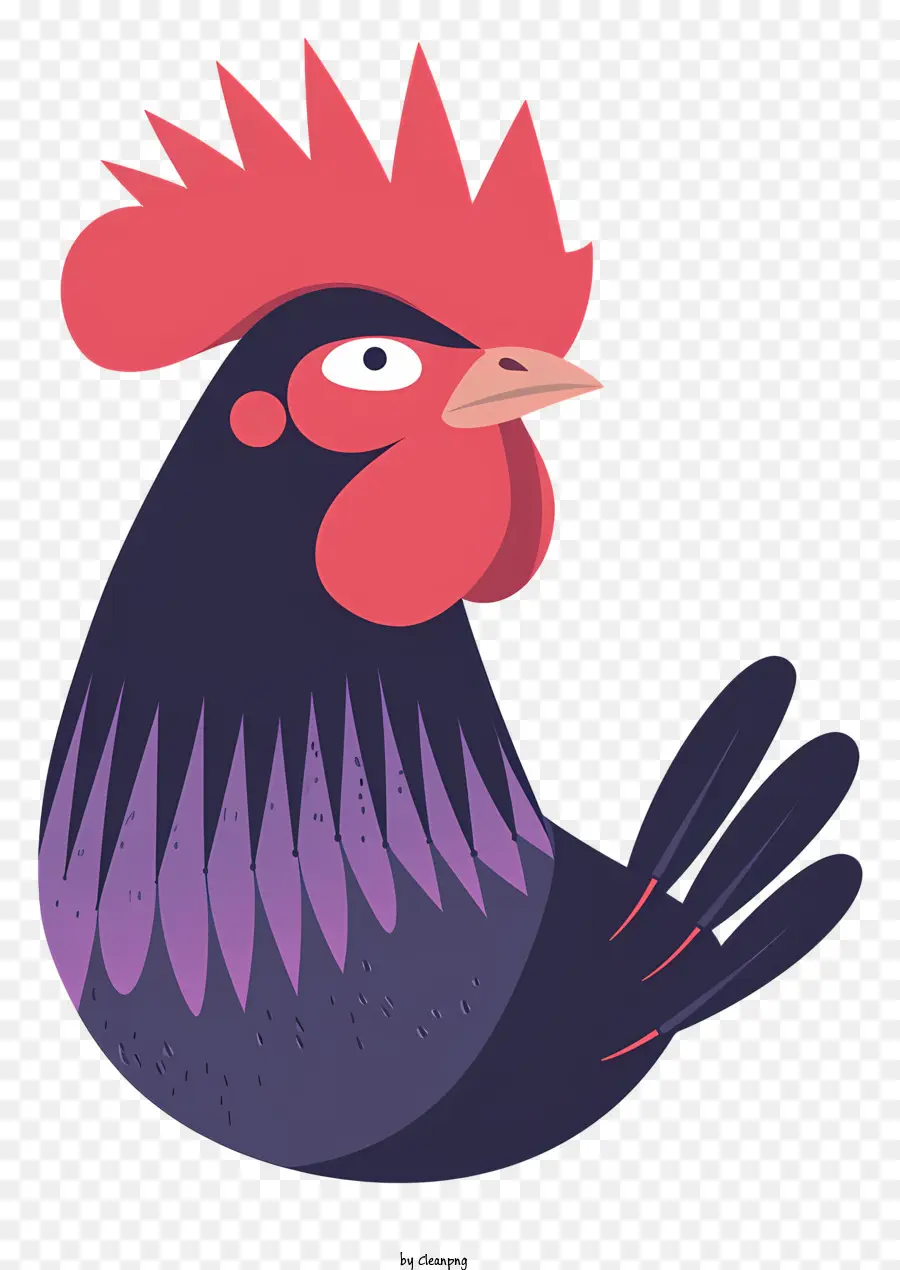 Gallo Wattles Dark Piume di pettine di pollo a gallo - Pollo ornato con piume scure, sfondo nero