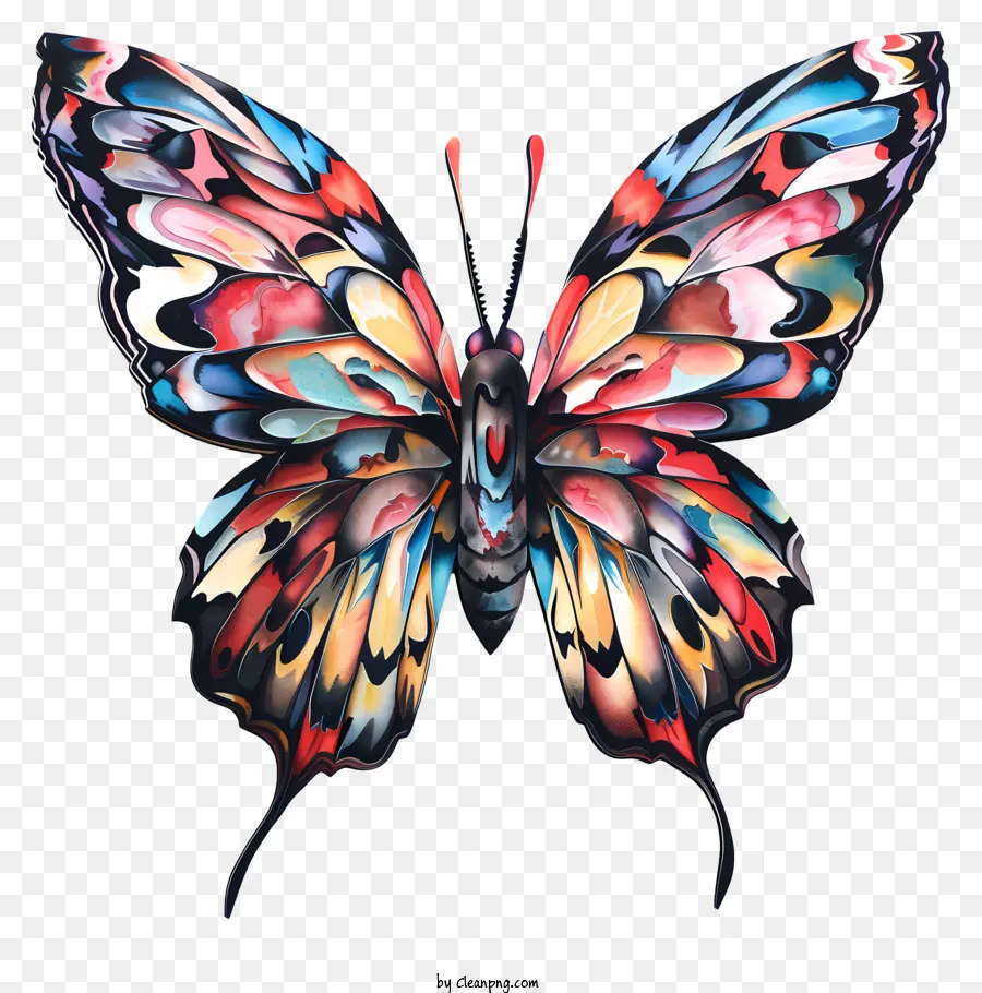 ali - Farfalla colorata e dettagliata con motivi e design intricati