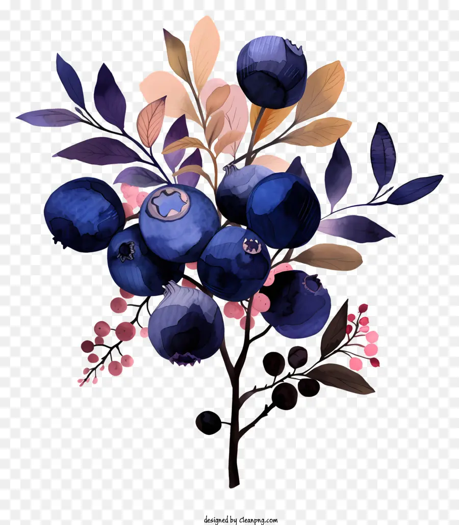 blueberries blueberry bush pink flowers white flowers bent branches