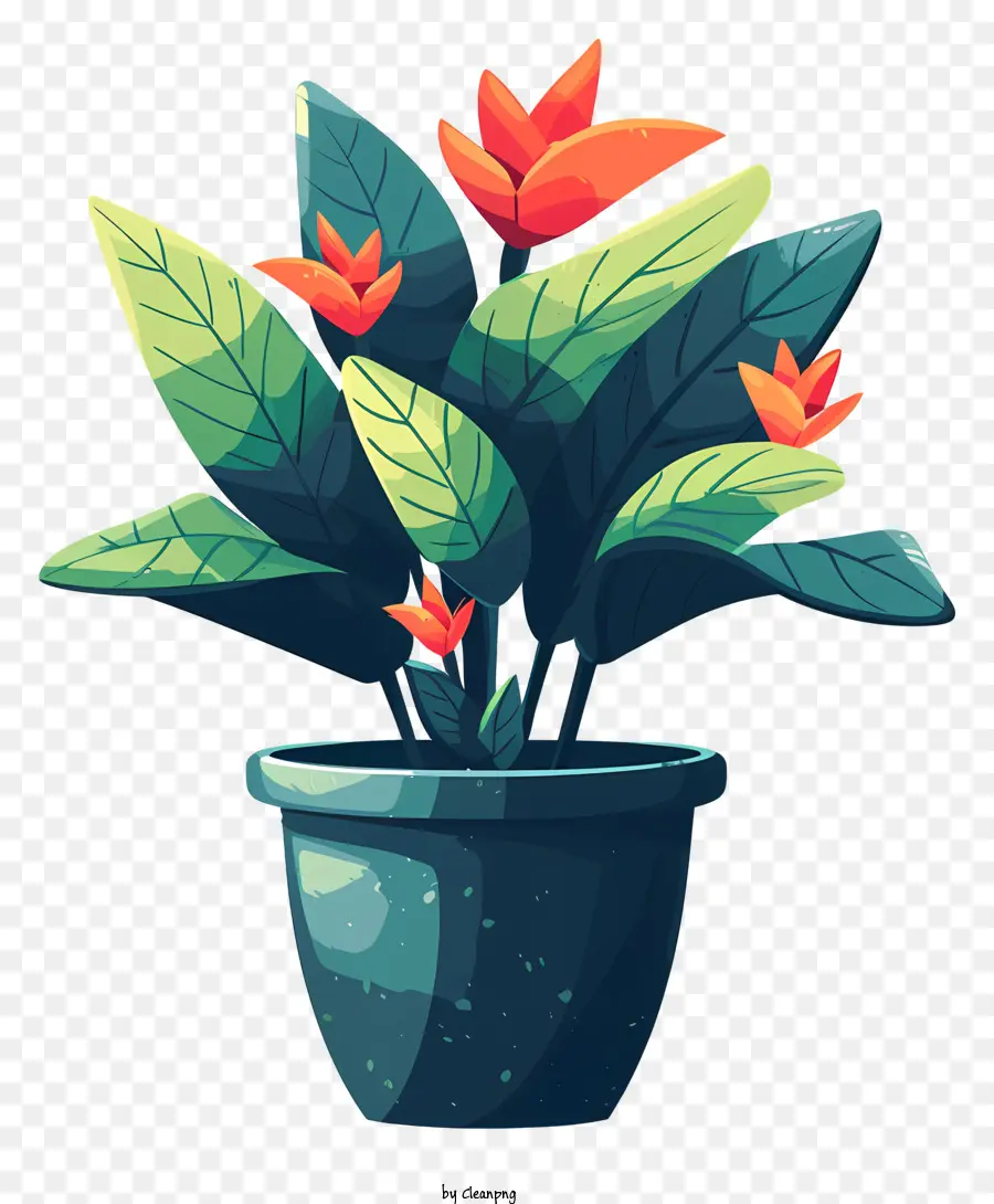 Fiori moderni di fiori di fiori pianta in vaso fiori rossi fiori arancioni - Immagine scura della pianta in vaso con fiori colorati